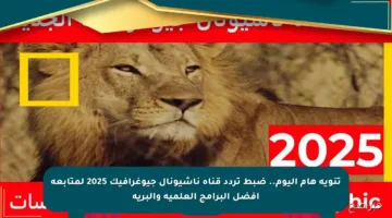 تنويه هام اليوم.. ضبط تردد قناة ناشيونال جيوغرافيك 2025 لمتابعة أفضل البرامج العلمية والبرية